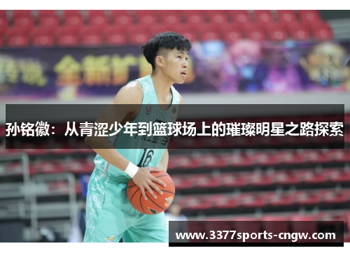 孙铭徽：从青涩少年到篮球场上的璀璨明星之路探索