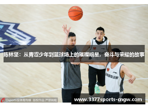 陈林坚：从青涩少年到篮球场上的璀璨明星，奋斗与荣耀的故事